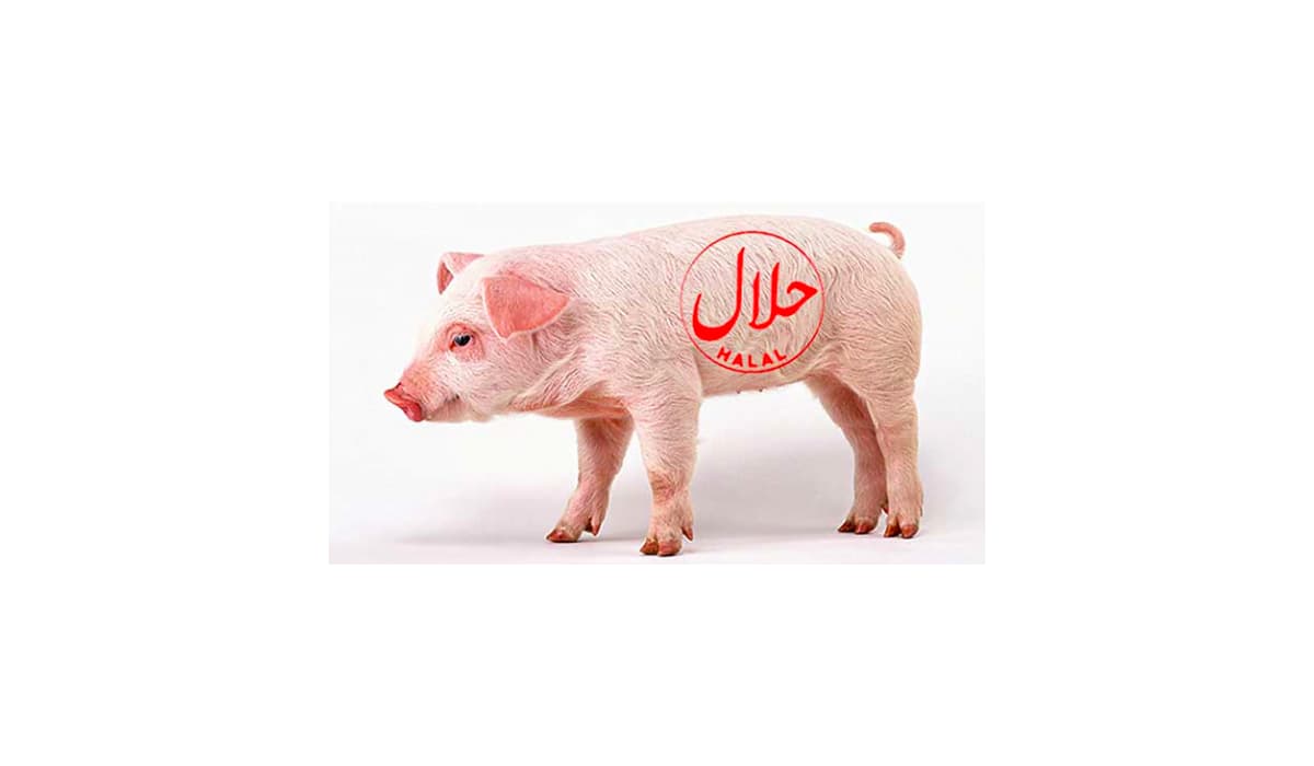 Après la bière halal sans alcool, le porc halal sans porc